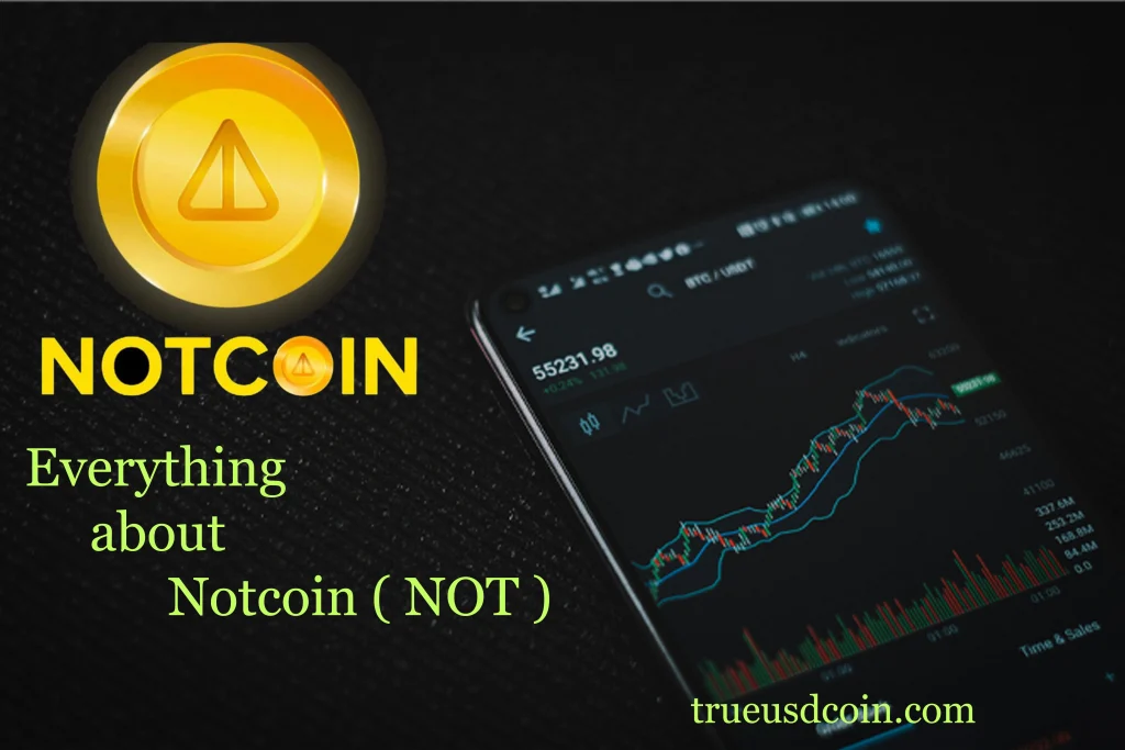 About Notcoin