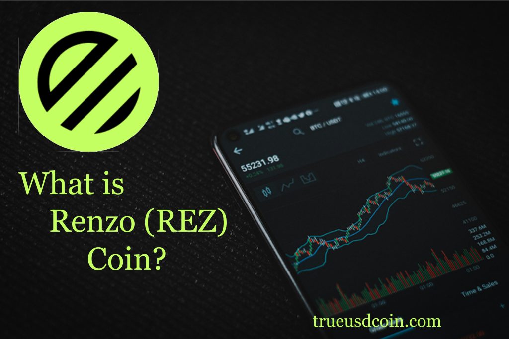 Renzo Coin Review