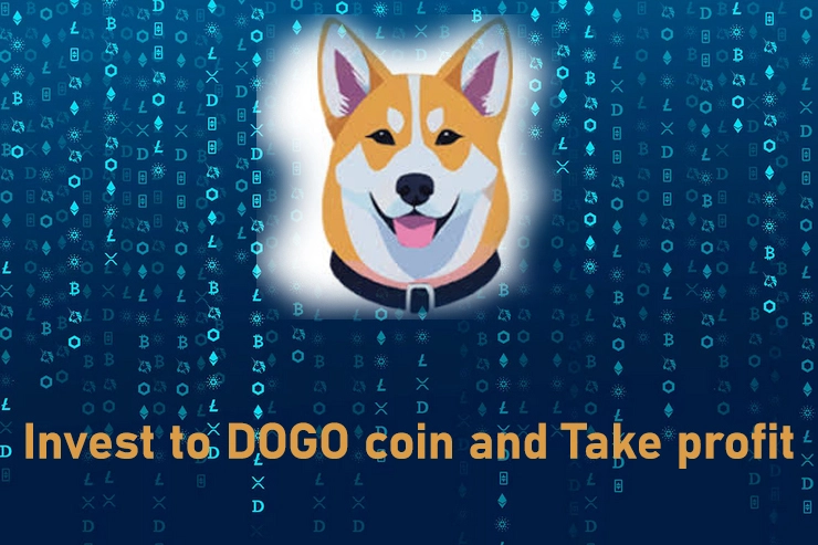 Dogo coin