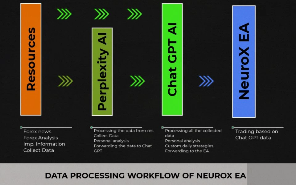 AI NeuroX EA 1