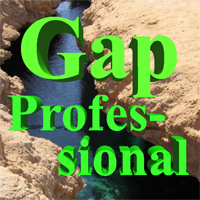 GAP PROFESSIONAL EA logo